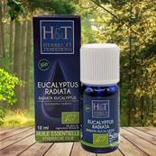 Herbes et Traditions - Huile Essentielle - Eucalyptus Radi Bio 10ml