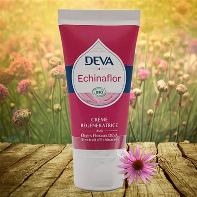 Deva - Elixirs Floraux - Crème Régénératrice Echinaflor 50ml