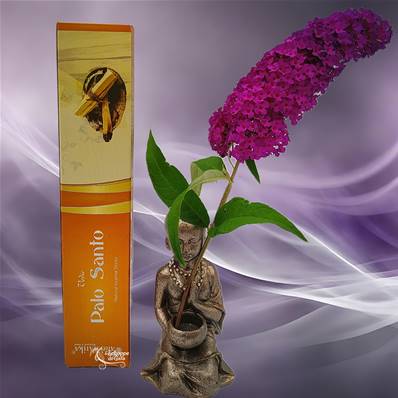 Aromatika Vedic - Encens Naturel Palo Santo